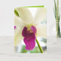 Madame Orchid
