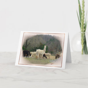 Cartão Madame Pompadour Card