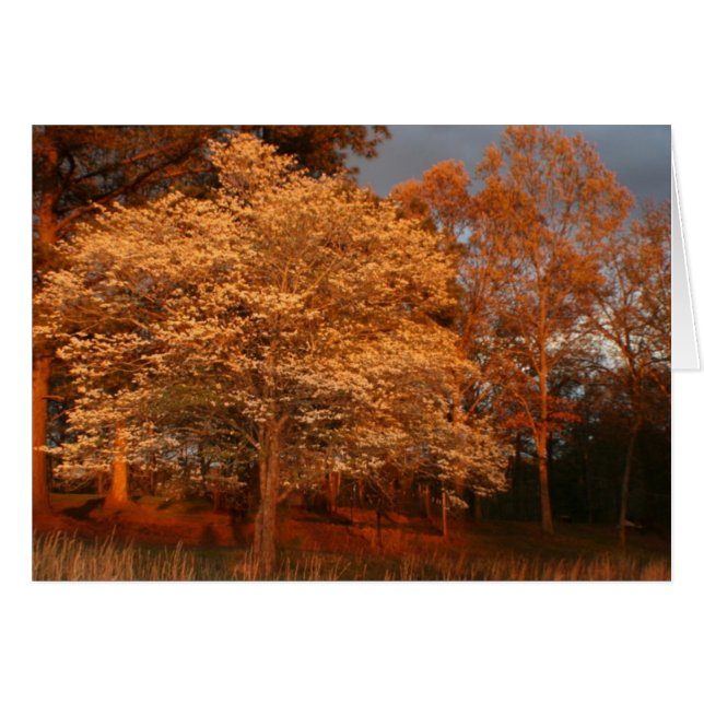 Cartão madeira2 (Frente Horizontal)