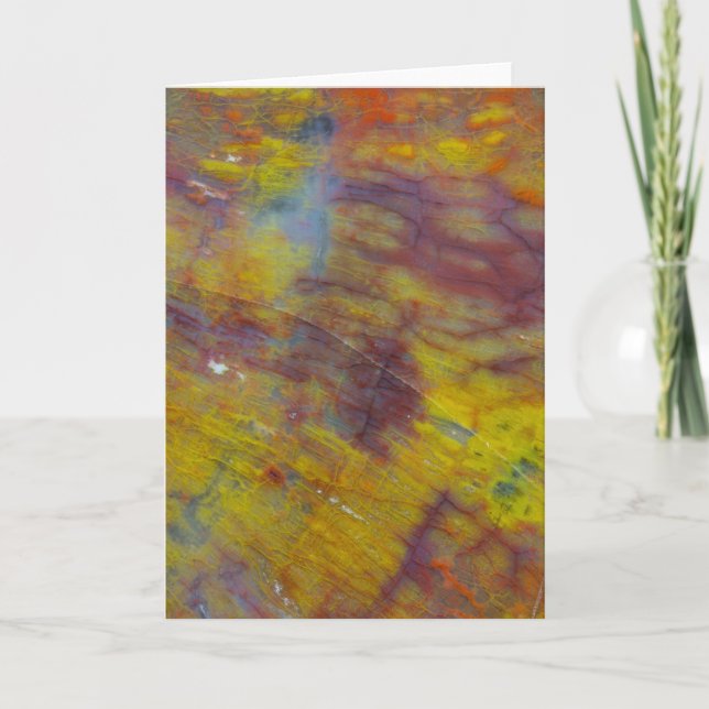 Cartão Madeira Petrificada (Frente)