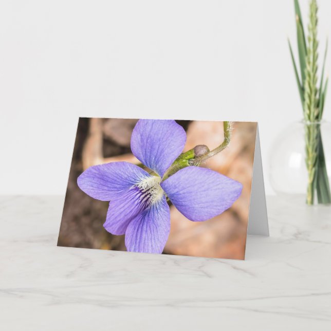Cartão Madeira Violet Wildflower Notecard (Frente)