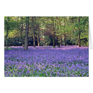 Cartão Madeiras do Bluebell, flores de Inglaterra