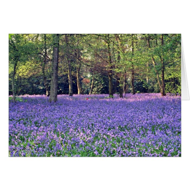 Cartão Madeiras do Bluebell, flores de Inglaterra (Frente Horizontal)