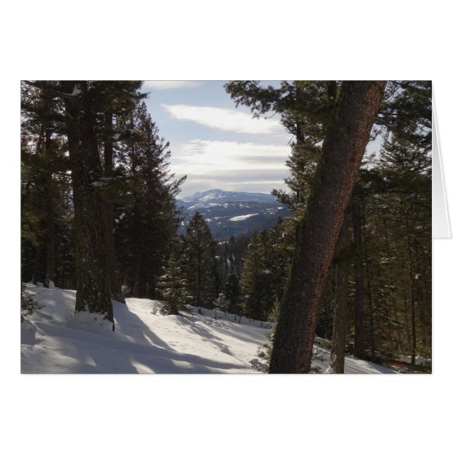 Cartão Madison Mountain em inverno em Montana (Frente Horizontal)