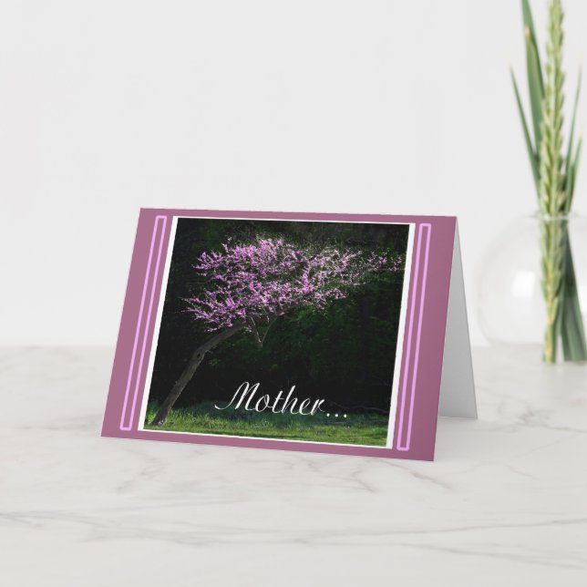 Cartão Mãe (Frente)