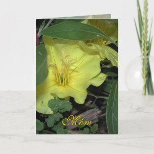 Cartão Mãe Aniversário