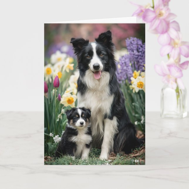 Cartão Mãe Border Collie Dia das Mães Amor (Orquídea)