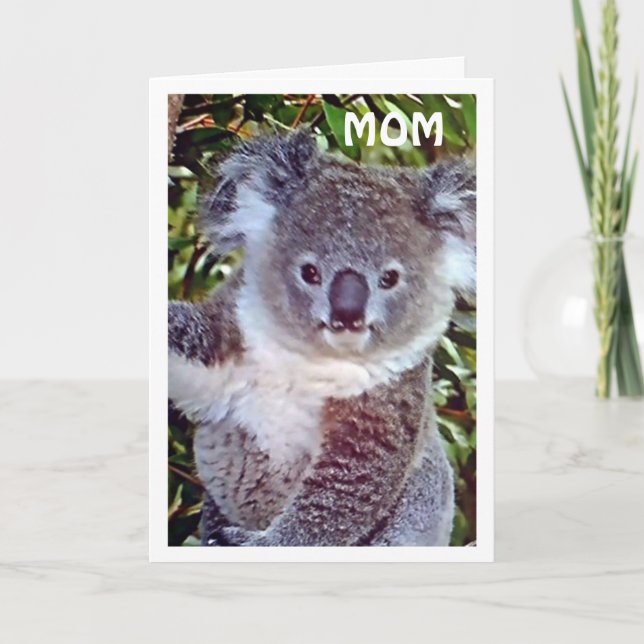 CARTÃO MÃE="CARTÕES DE ANIVERSÁRIOS KOALA" CELEBRE O SEU  (Frente)