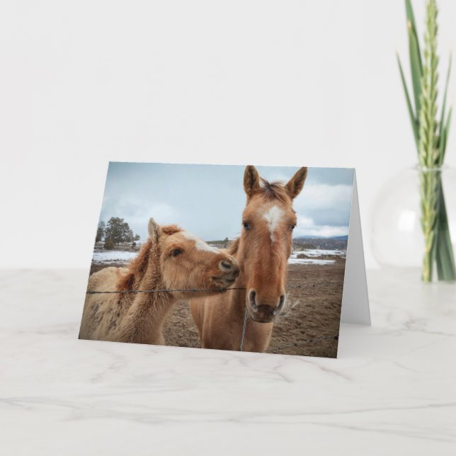Cartão Mãe Cavalo e Potro (Frente)
