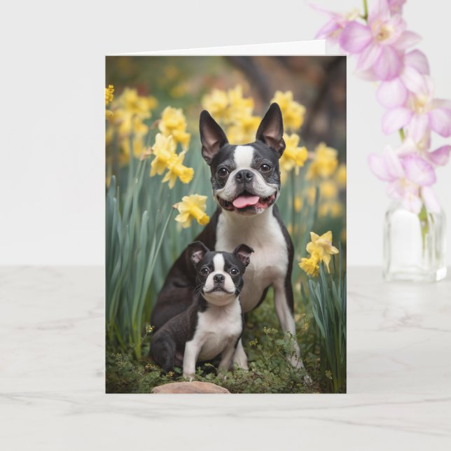 Cartão Mãe de Boston Terrier Dia das Mães Amor (Orquídea)