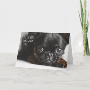 Cartão Mãe de Cachorro Personalizada Foto Fofa Dia das Mã