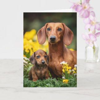 Cartão Mãe de Dachshund Dia das Mães Amor