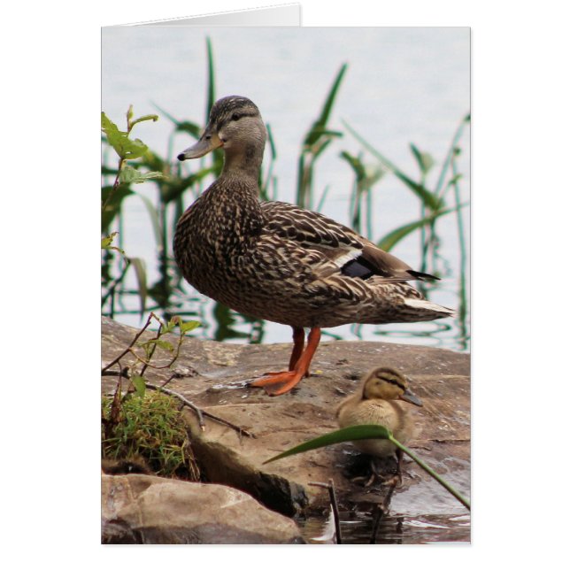 Cartão Mãe e Bebê 2 (Frente)