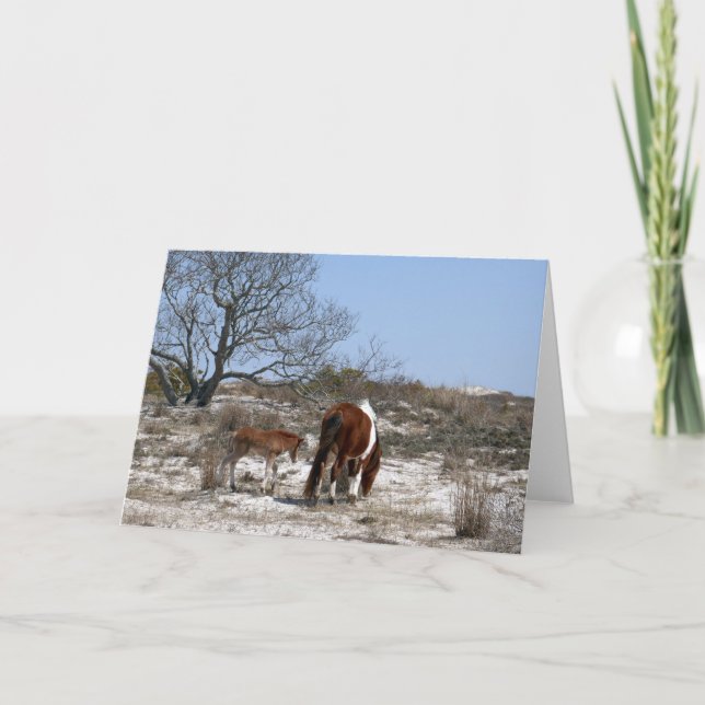 Cartão Mãe e Bebê Cavalo em Assateague (Frente)