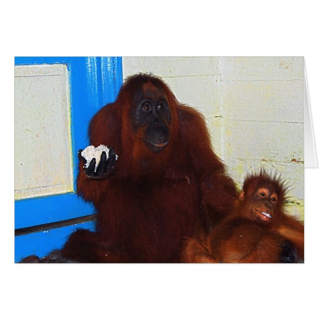 Cartão Mãe e bebê do orangotango de Leakey do acampamento (Frente Horizontal)