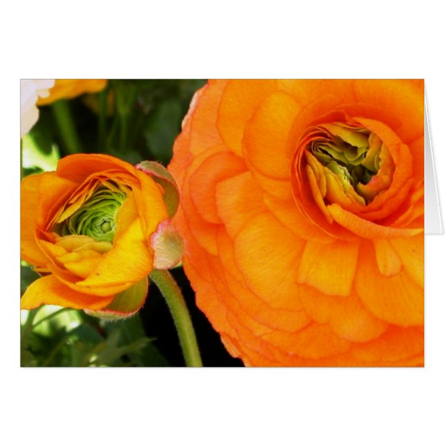 Cartão Mãe e criança (Frente Horizontal)