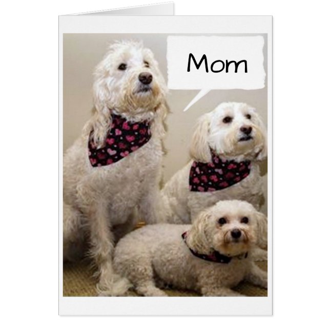 CARTÃO MÃE É DESEJADA **FELIZ ANIVERSÁRIO** DE 3 PUPS (Frente)