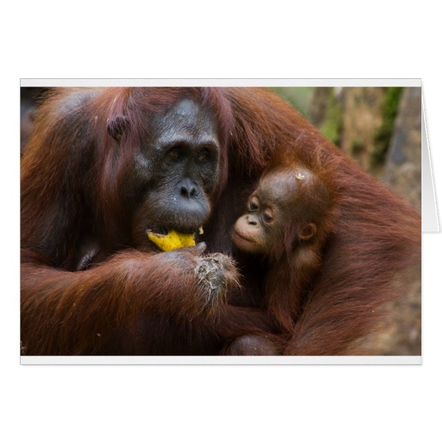 Cartão Mãe e filho (Frente Horizontal)