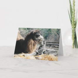 Cartão Mãe e Filho