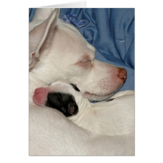 Cartão Mãe e Filho