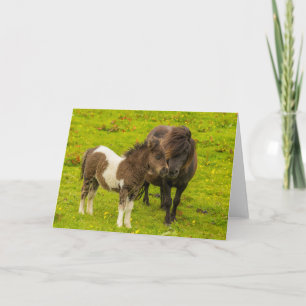 Cartão Mãe e Filhote de Pônei Shetland