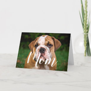 Cartão Mãe Pet Foto Engraçada Dia de as mães Cachorro 
