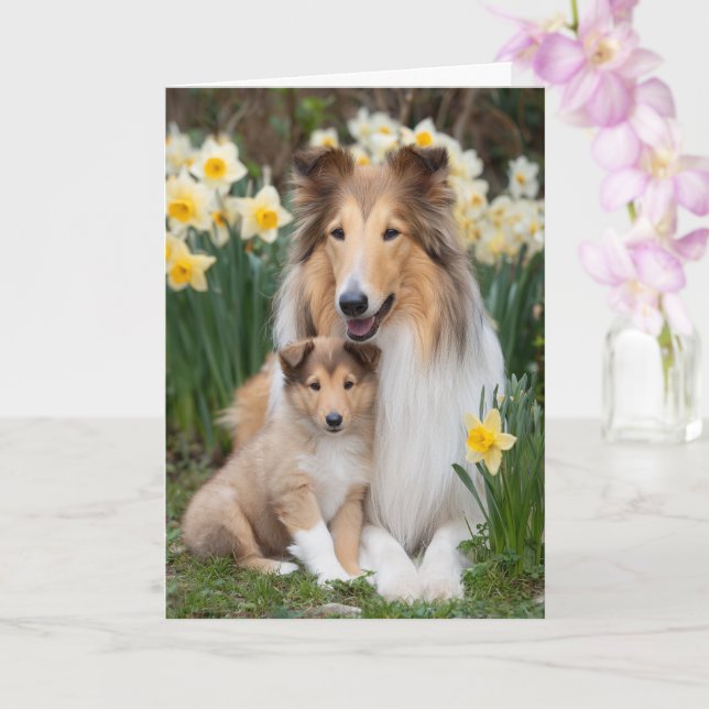 Cartão Mãe Rough Collie Dia das Mães Amor (Orquídea)