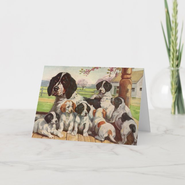 Cartão Mãe Springer spaniel e filhotes (Frente)