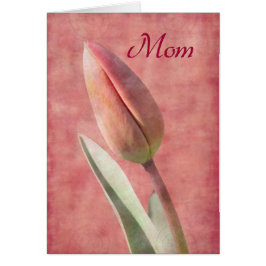 Cartão Mãe Tulip