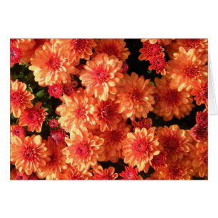 Cartão "Mães alaranjadas de cora "