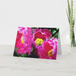Cartão Magenta Peony Garden da Pepper