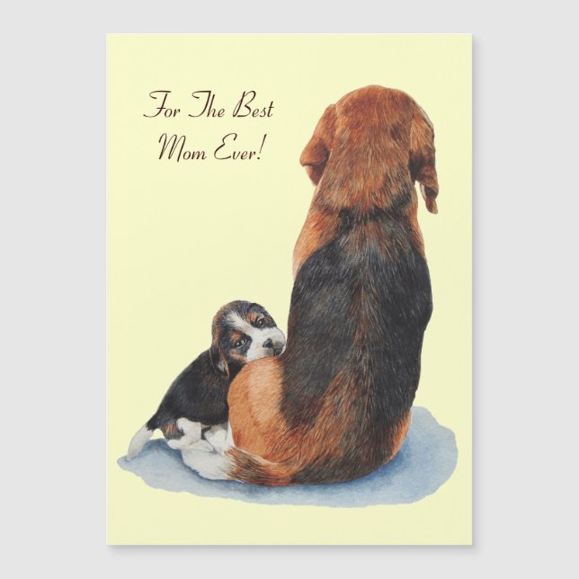 Cartão Magnético (Frente)