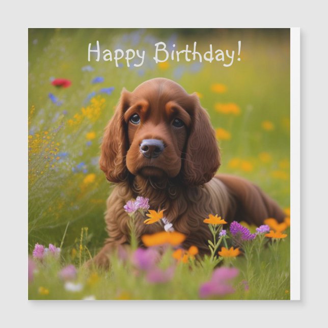 Cartão Magnético Cocker Spaniel (Frente)