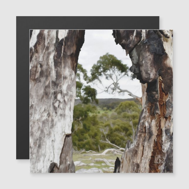 Cartão magnético da janela da natureza (Frente/Verso)