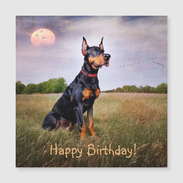 Cartão Magnético de Aniversário Doberman Pinscher (Frente)