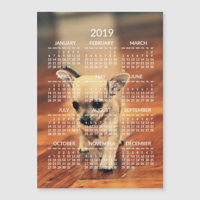 Cartão Magnético de Foto Calendário Chihuahua 2019 (Frente)