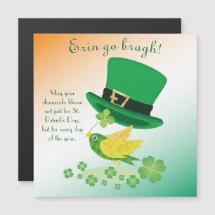 Cartão magnético de voo sorte do Shoemaker