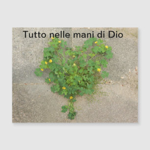 Cartão Magnético, espiritual