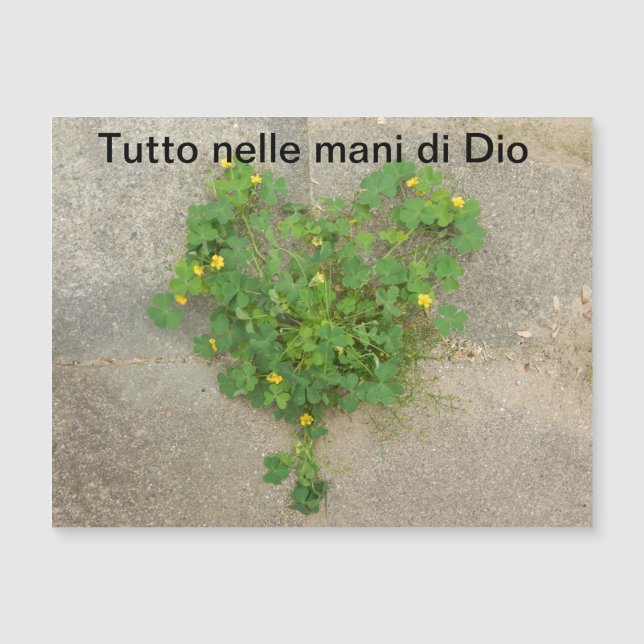 Cartão Magnético, espiritual (Frente)