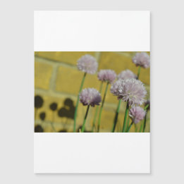 Cartão magnético fino