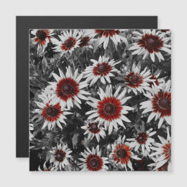 Cartão magnético impressionante de Susanos de Olho