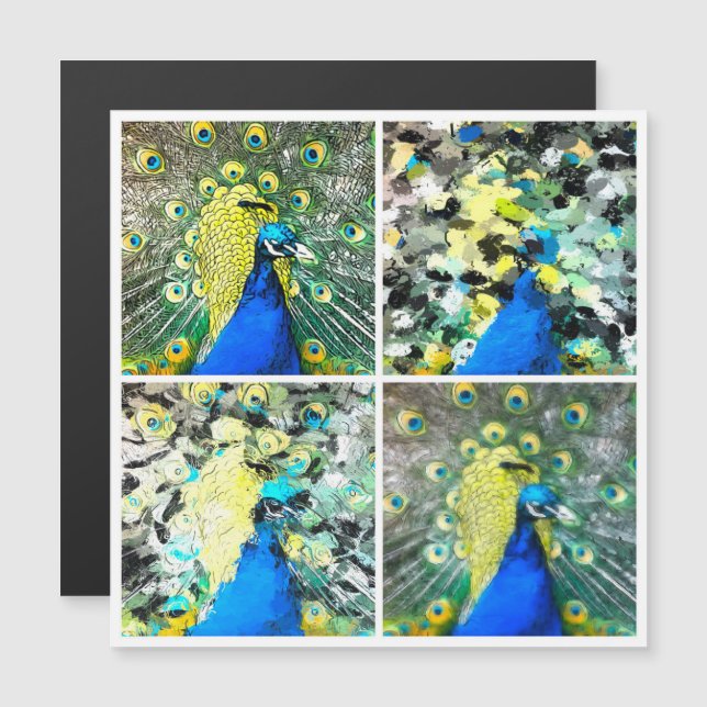 Cartão magnético Peacock Art (Frente/Verso)