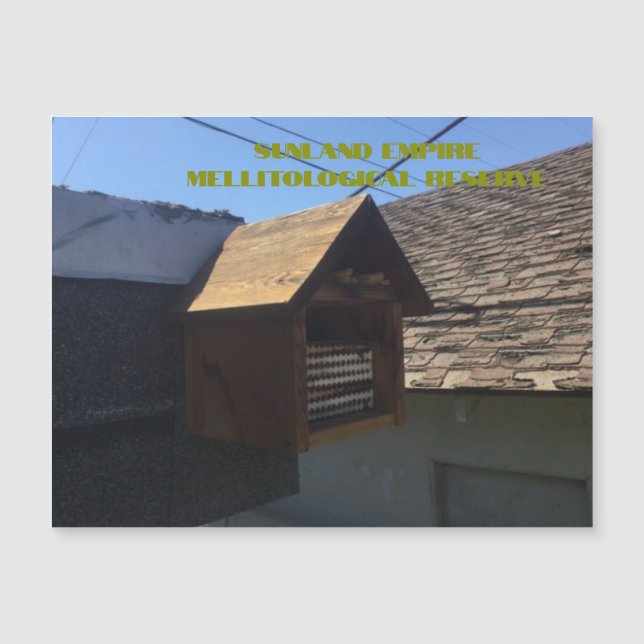 Cartão Magnético SEMR (Frente)