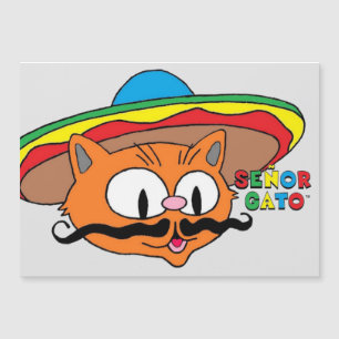 cartão magnético señor gato