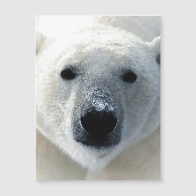 Cartão Magnético Urso Polar (Frente)