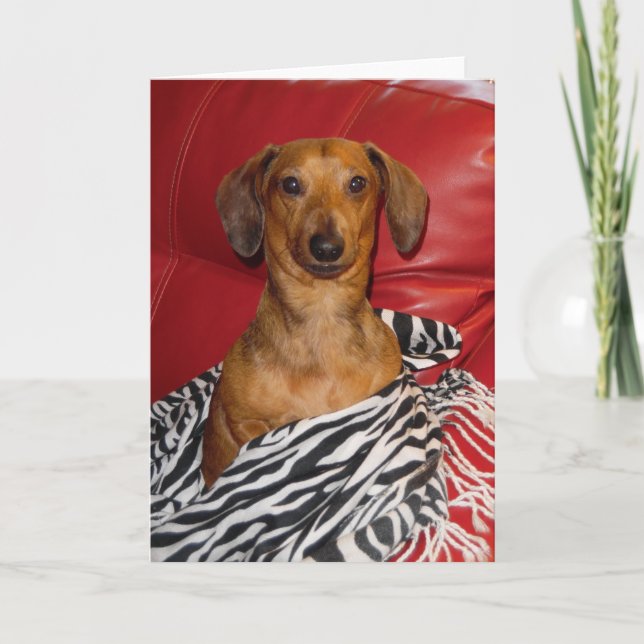 CARTÃO MAGNÍFICO DE MICKEY (Frente)