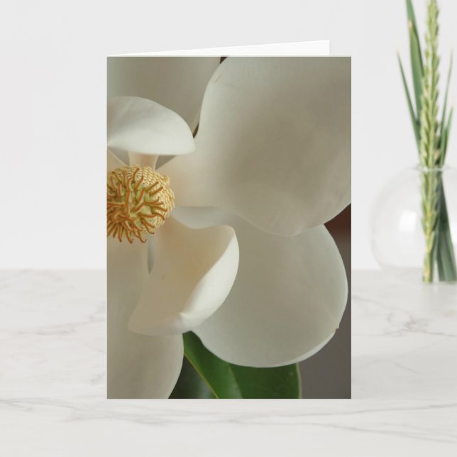 Cartão magnólia 2 (Frente)