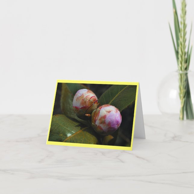 Cartão Magnolia Buds (Frente)