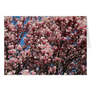 Cartão Magnólia cor-de-rosa
