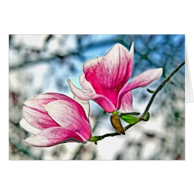 Cartão Magnolia E Céu Azul (Frente Horizontal)